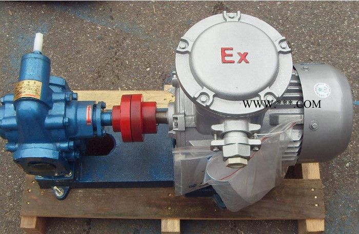 泊头KCB防爆油泵  CYZ-A自吸式离心油泵 KCB齿轮油泵 2CY不锈钢润滑油齿轮油泵图4