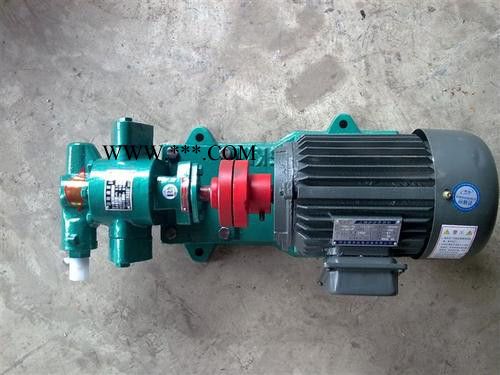 泊头KCB防爆油泵  CYZ-A自吸式离心油泵 KCB齿轮油泵 2CY不锈钢润滑油齿轮油泵图2