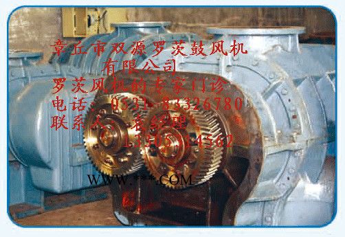 章丘双源直销SSR.L .ZR7 RR等系列鼓风机专用齿轮 罗茨鼓风机图2