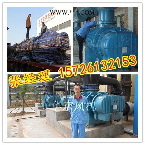 供应华东二叶罗茨风机-二叶风机| 二叶鼓风机| 二叶罗茨风机| 二叶罗茨鼓风机图4