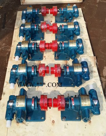 KCB55 齿轮油泵 燃油泵 现货供应 质保一年图2