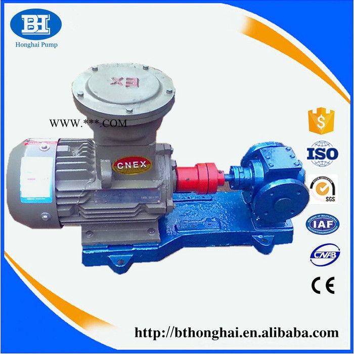 齿轮油泵 电动泵 润滑油泵 圆弧齿轮泵 鸿海泵业 货源充足图5