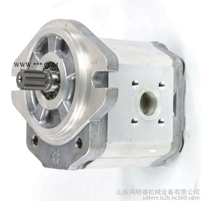 现货 danfoss 萨奥丹佛斯 TUROLLA 齿轮油泵 SNP1系列 PRR串泵系列 激光摊铺机 工厂原装进口图7