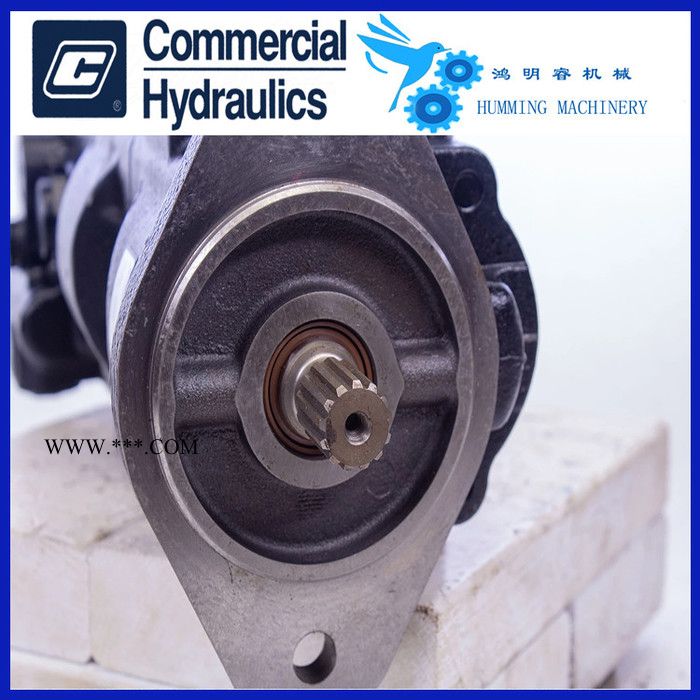 现货 Parker P75 P76 P20 P30 P37 矿采机械 齿轮油泵  原装进口 工厂直供图7