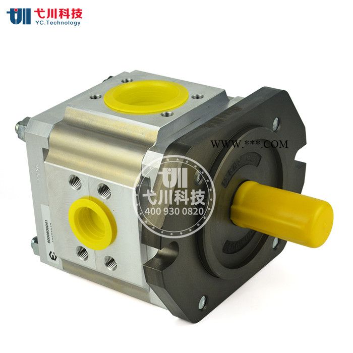 德国艾可勒/艾可乐齿轮泵EIPC3-040-RK23-1X压铸机 注塑机液压泵工程车辆高压齿轮油泵全新德国液压内啮合油泵图4