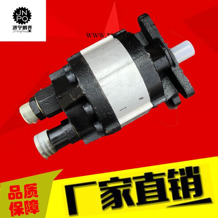 安徽鹏齐供应 不锈钢齿轮泵 耐腐蚀不锈钢泵 齿轮油泵图4