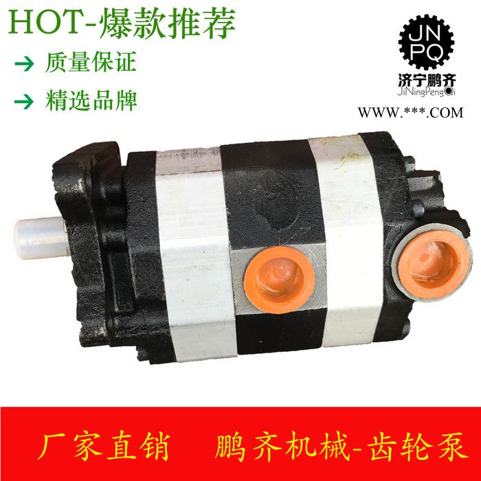 安徽鹏齐供应 不锈钢齿轮泵 耐腐蚀不锈钢泵 齿轮油泵图2