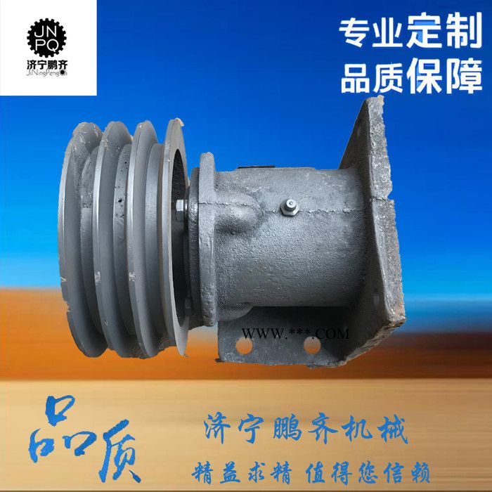 安徽鹏齐供应 不锈钢齿轮泵 耐腐蚀不锈钢泵 齿轮油泵图3