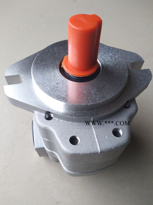 天津生产G5齿轮泵  G5液压泵（现货） G5齿轮油泵图2