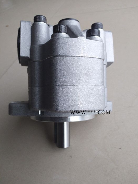 天津生产G5齿轮泵  G5液压泵（现货） G5齿轮油泵图5