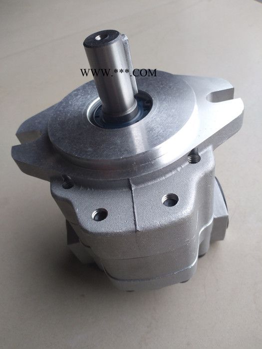 天津生产G5齿轮泵  G5液压泵（现货） G5齿轮油泵图6