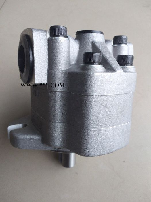 天津生产G5齿轮泵  G5液压泵（现货） G5齿轮油泵图8