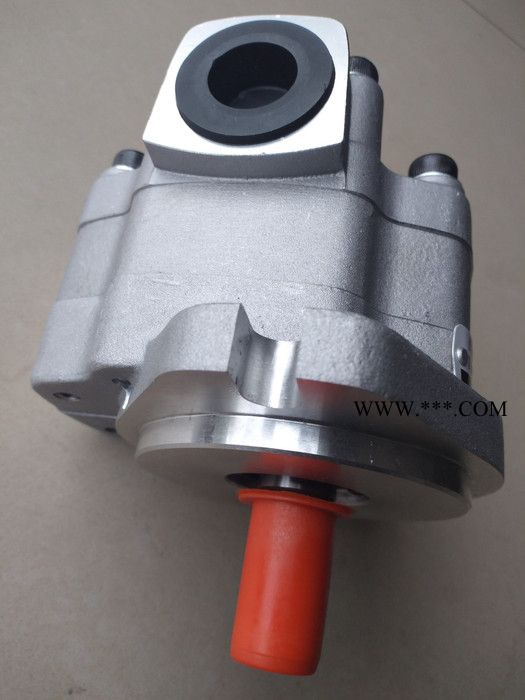 天津生产G5齿轮泵  G5液压泵（现货） G5齿轮油泵图4