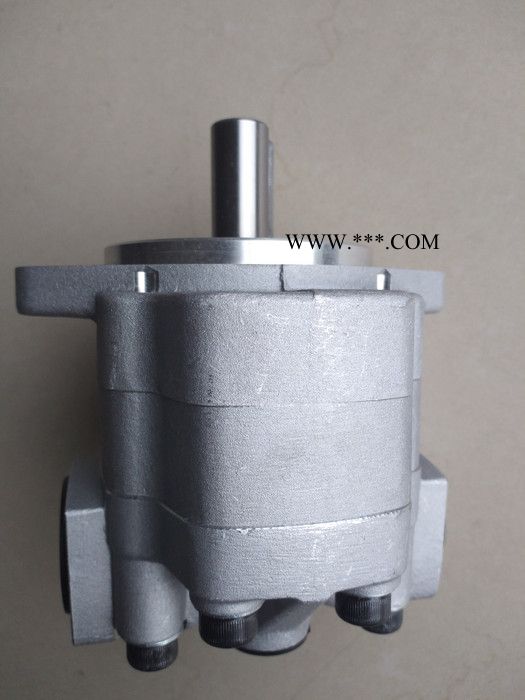 天津生产G5齿轮泵  G5液压泵（现货） G5齿轮油泵图3