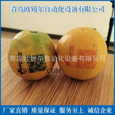 欧锐尔现货供应 可食用油墨 印字机油墨 苹果蛇果橙子水果油墨 食用墨水图2