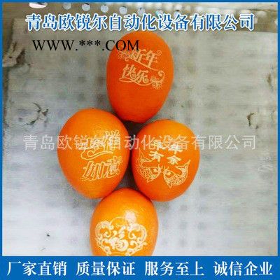 欧锐尔现货供应 可食用油墨 印字机油墨 苹果蛇果橙子水果油墨 食用墨水图3