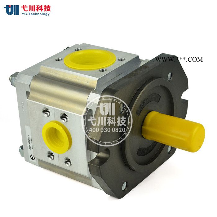 德国艾可勒/艾可乐齿轮泵ECKERLE/EIPH2-022-RK03-10工业机械油泵液压泵双联泵多联泵油泵高压齿轮油泵图6