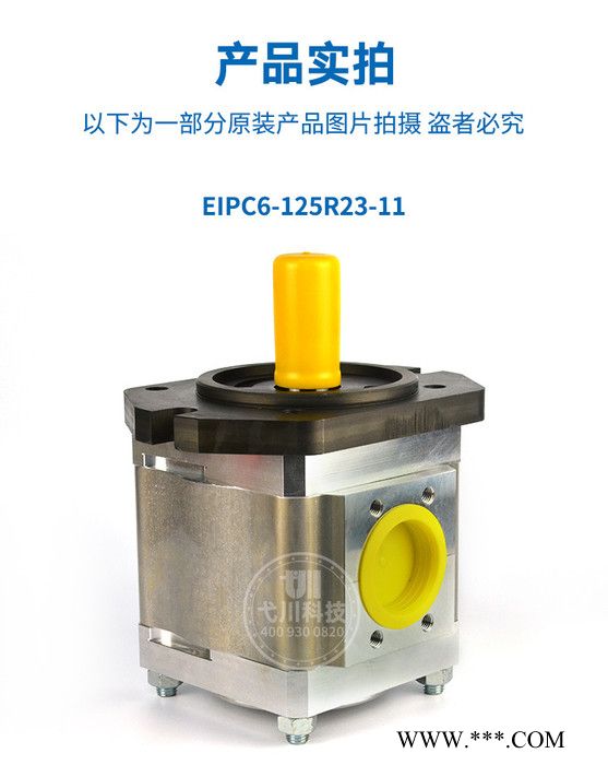 德国艾可勒/艾可乐齿轮泵ECKERLE/EIPH2-022-RK03-10工业机械油泵液压泵双联泵多联泵油泵高压齿轮油泵图5