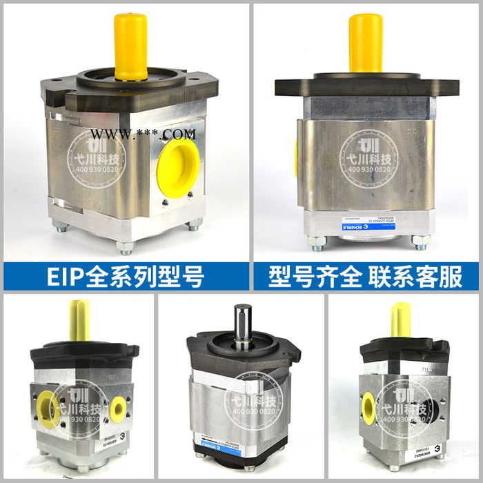 德国艾可勒/艾可乐齿轮泵ECKERLE/EIPH2-022-RK03-10工业机械油泵液压泵双联泵多联泵油泵高压齿轮油泵图3