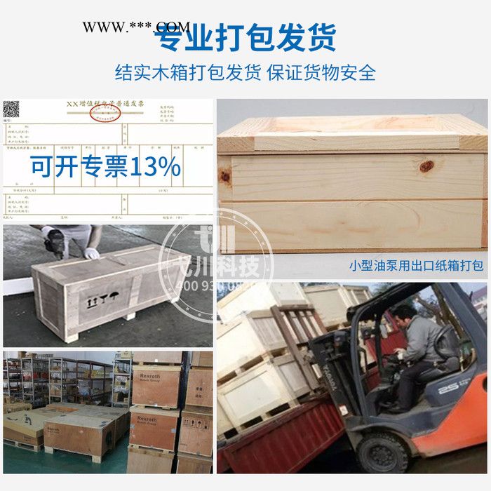 德国艾可勒/艾可乐齿轮泵ECKERLE/EIPH2-022-RK03-10工业机械油泵液压泵双联泵多联泵油泵高压齿轮油泵图2