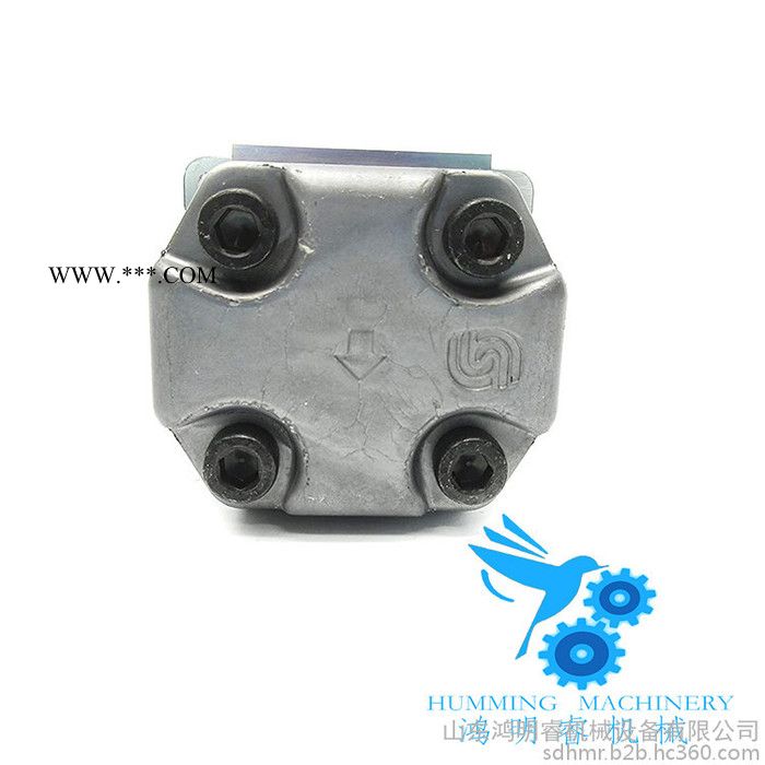 注塑机进口齿轮油泵Danfoss萨奥丹佛现货生产厂家直供SNP1NN/3.8LN01BAP1C2C2山东进口齿轮泵图2