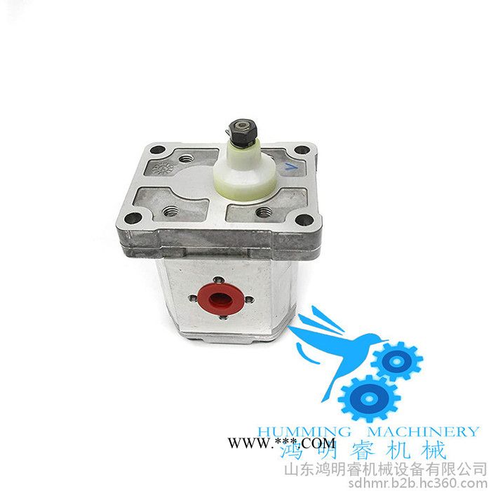 注塑机进口齿轮油泵Danfoss萨奥丹佛现货生产厂家直供SNP1NN/3.8LN01BAP1C2C2山东进口齿轮泵图3