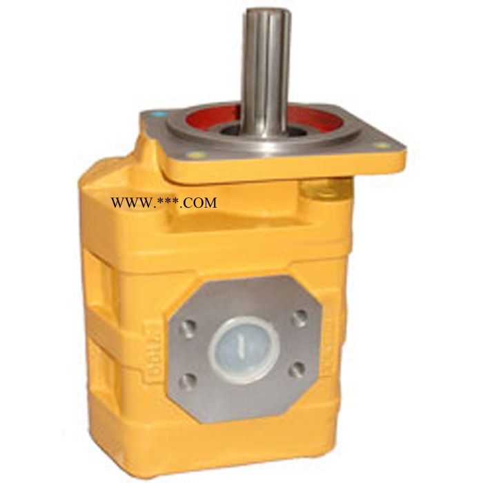 生产装载机齿轮泵 液压齿轮油泵 行走泵 龙工853车型配件图3