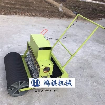 多行播种机油麦菜韭菜手推式精播机油麦菜菠菜播种机