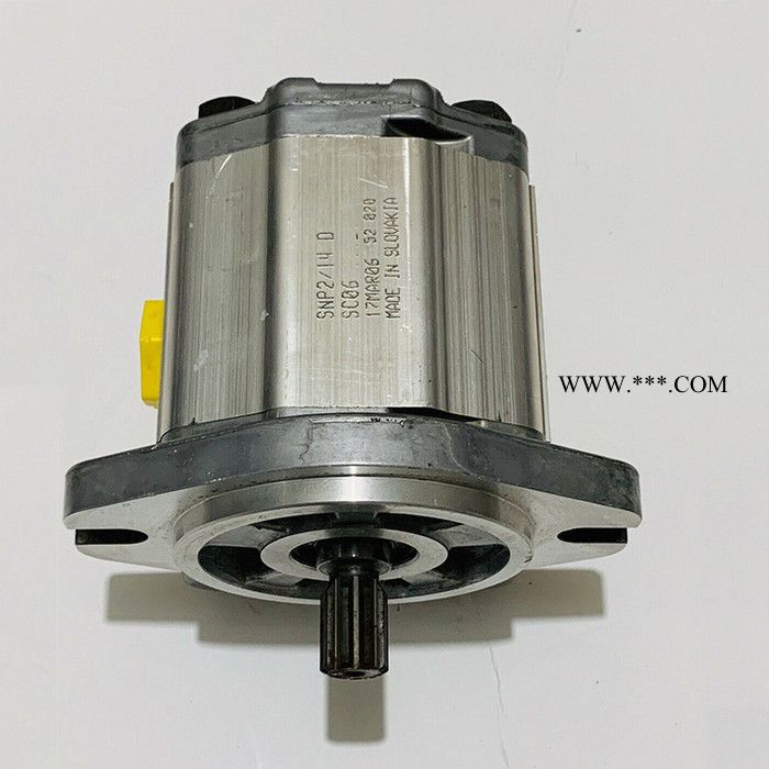 厂家直供danfoss丹佛斯液压齿轮泵山东现货原装进口高压齿轮油泵SNP2/14DSC06进口齿轮泵图2