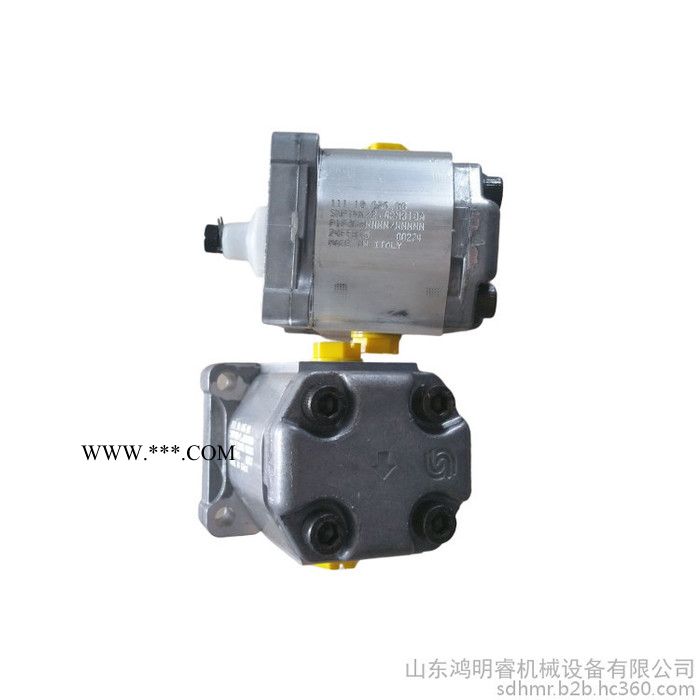 现货 danfoss 萨奥丹佛斯 TUROLLA 齿轮油泵 SNP2系列 双联泵 园林机械 工厂原装进口图5