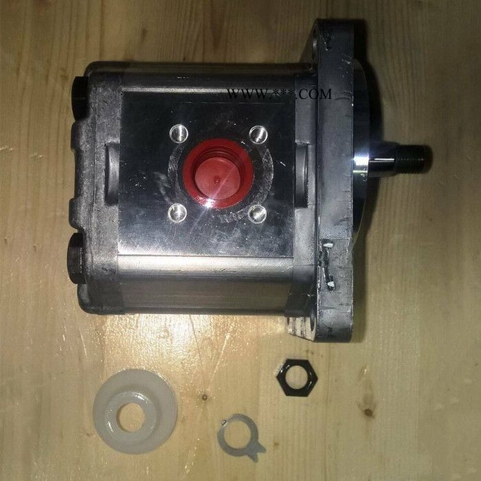 现货 danfoss 萨奥丹佛斯 TUROLLA 齿轮油泵 SNP2系列 双联泵 园林机械 工厂原装进口图3