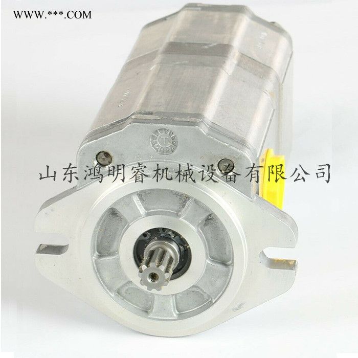 现货 danfoss 萨奥丹佛斯 TUROLLA 齿轮油泵 SNP2系列 双联泵 园林机械 工厂原装进口图2