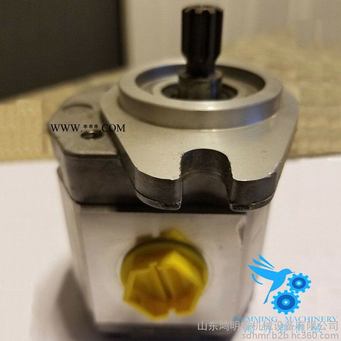 现货 danfoss 萨奥丹佛斯 TUROLLA 齿轮油泵 SNP2系列 双联泵 园林机械 工厂原装进口图8