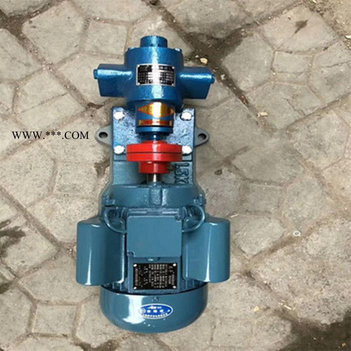 永盛ZYB 渣油齿轮油泵 渣油泵 不锈钢渣油齿轮泵供应图3