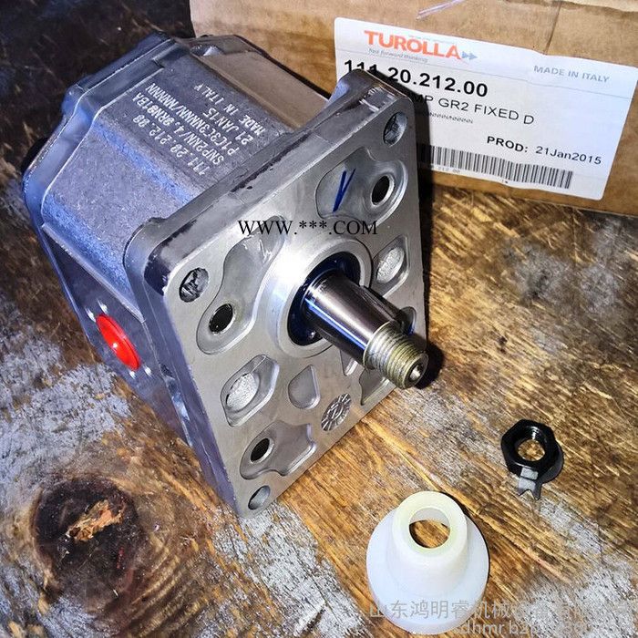 现货DANFOSS丹佛斯TUROLLA 齿轮油泵 齿轮泵生产厂家 意大利原装丹佛斯进口齿轮泵SNP2NN/4.0图2