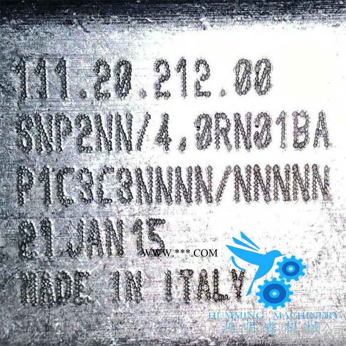 现货DANFOSS丹佛斯TUROLLA 齿轮油泵 齿轮泵生产厂家 意大利原装丹佛斯进口齿轮泵SNP2NN/4.0图3