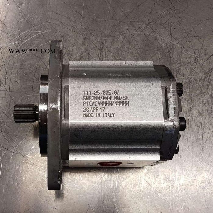 丹佛斯 齿轮泵 高压注塑机液压油泵 不锈钢齿轮油泵 厂家供应图5