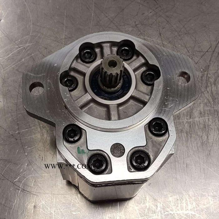 丹佛斯 齿轮泵 高压注塑机液压油泵 不锈钢齿轮油泵 厂家供应图4