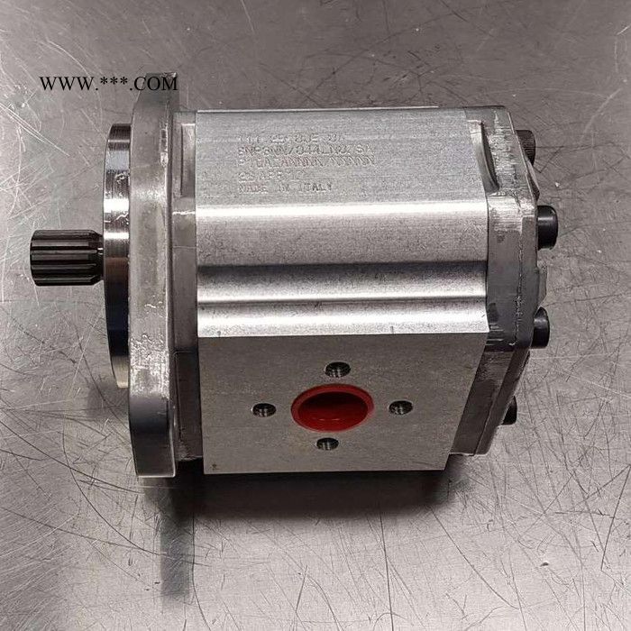 丹佛斯 齿轮泵 高压注塑机液压油泵 不锈钢齿轮油泵 厂家供应图3