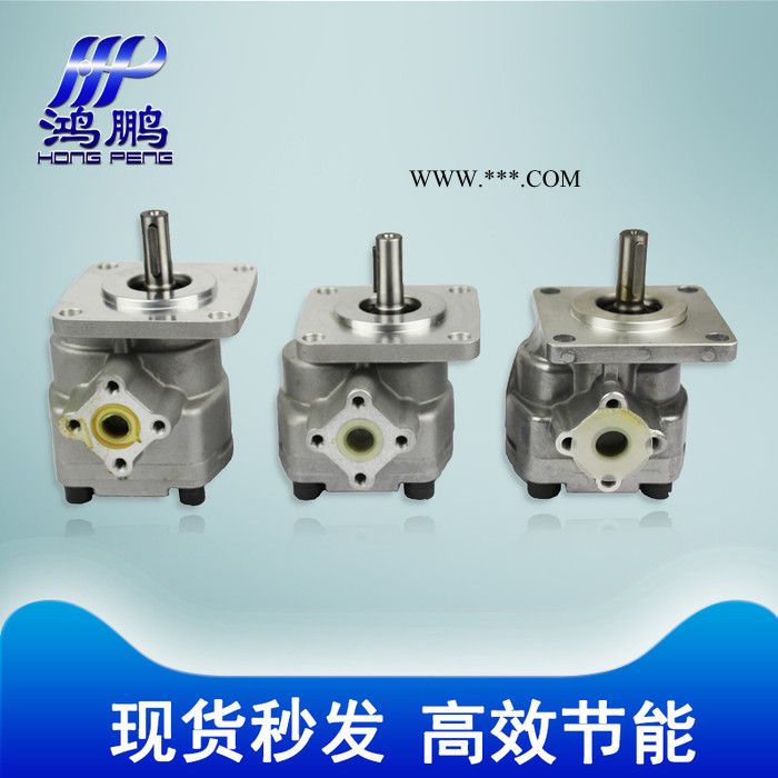 鸿鹏 GPY系列 **小型升降台专用 GPY-3R GPY-11.5R 齿轮油泵 高压油泵 液压齿轮泵图4