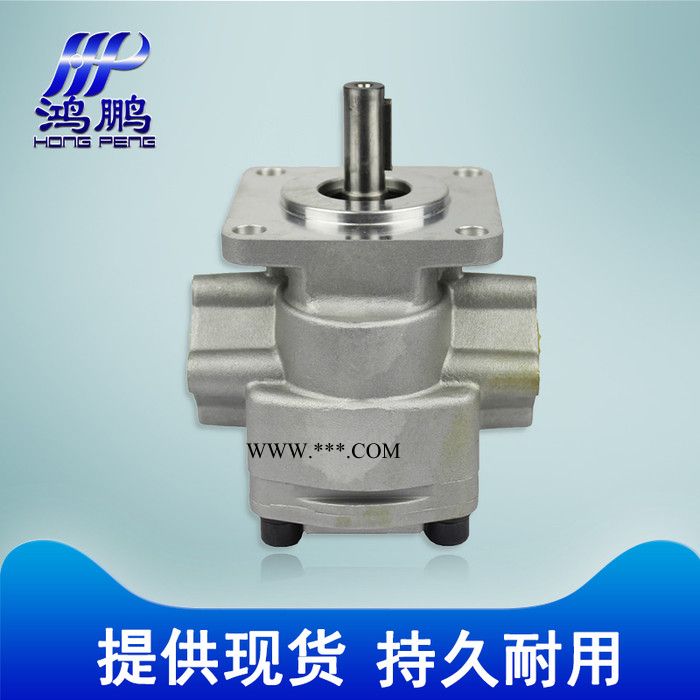 鸿鹏 GPY系列 **小型升降台专用 GPY-3R GPY-11.5R 齿轮油泵 高压油泵 液压齿轮泵图3