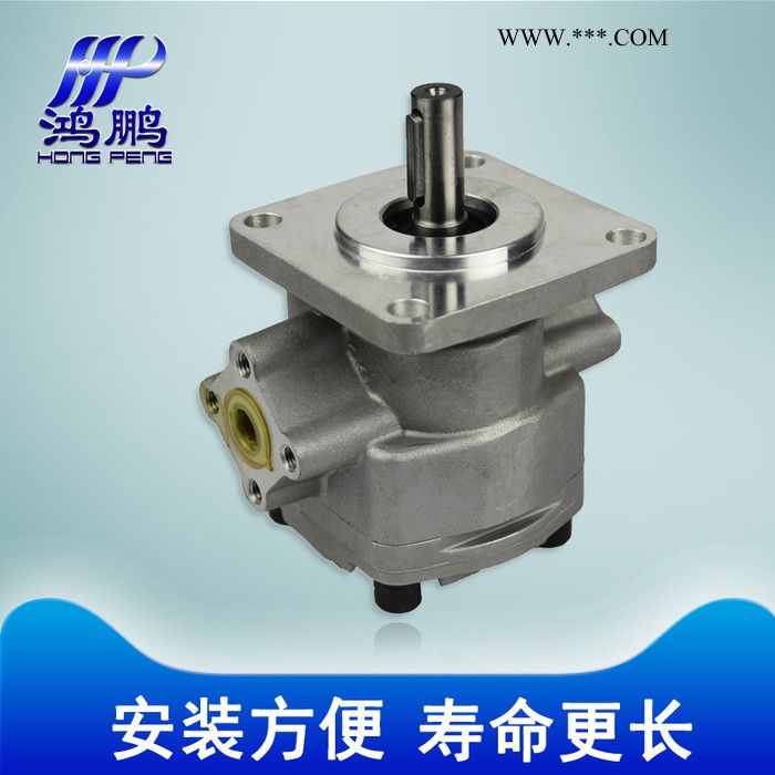 鸿鹏 GPY系列 **小型升降台专用 GPY-3R GPY-11.5R 齿轮油泵 高压油泵 液压齿轮泵图2
