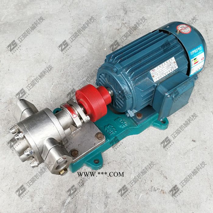 直销不锈钢304齿轮油泵自吸抽油泵导热油润滑油高粘度输送图3