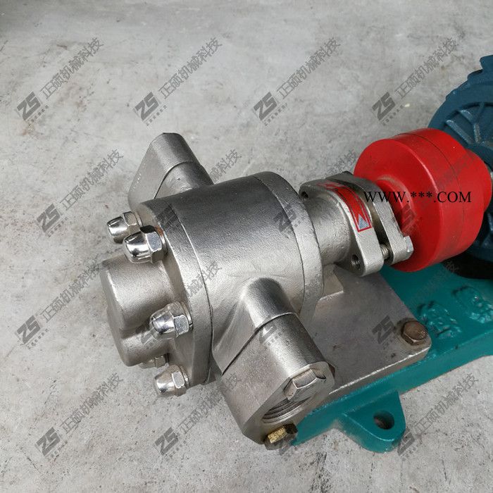 直销不锈钢304齿轮油泵自吸抽油泵导热油润滑油高粘度输送图2