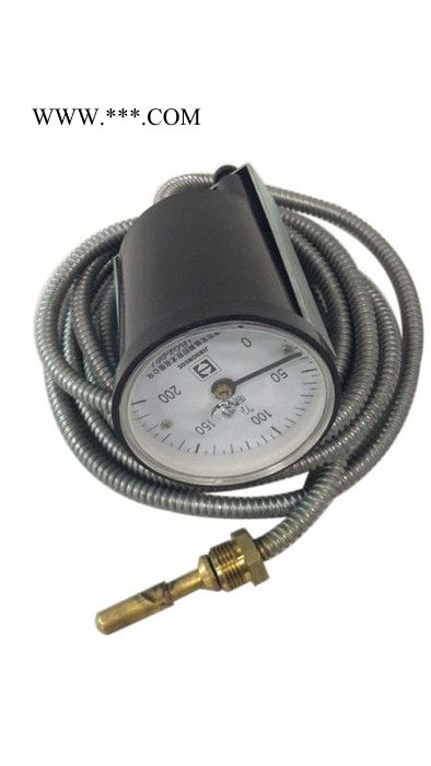 寿力温度表046434寿力仪表寿力空压机油温表图3