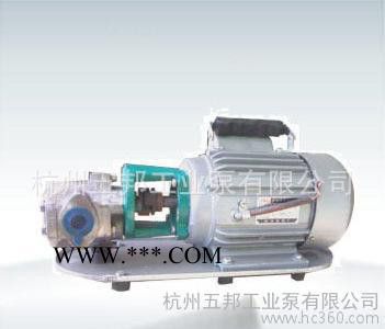 齿轮油泵 WCB-50齿轮油泵 直销齿轮油泵图3