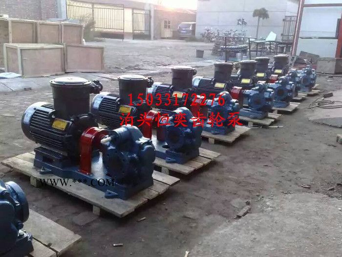 齿轮油泵厂家 直销齿轮油泵 齿轮油泵批发价特卖图4