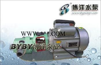 WCB齿轮油泵WCB型微型齿轮油泵