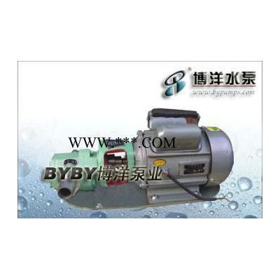 WCB齿轮油泵WCB型微型齿轮油泵