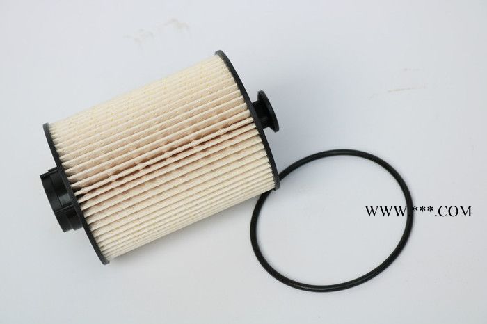 清河涵骏 欧洁环保机油滤清器FS19925图3